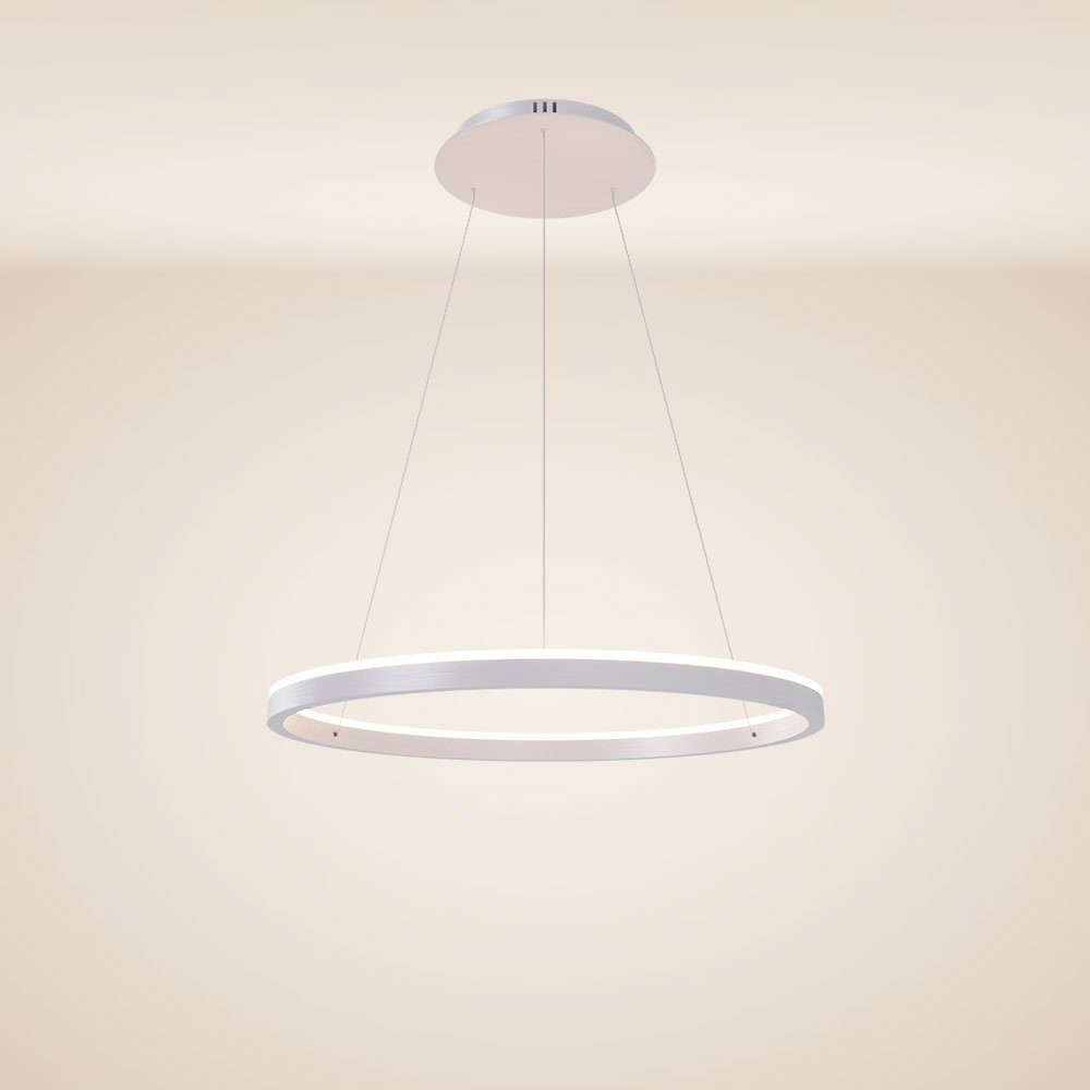 s.luce Pendelleuchte LED Pendellampe Ring 60 direkt oder indirekt Weiß,  Warmweiß