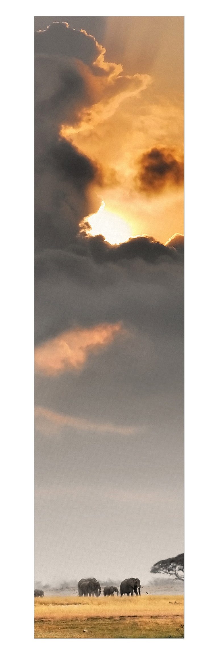 Bilderdepot24 Schiebegardine modern Flächenvorhang blickdicht Elefanten günstig online kaufen