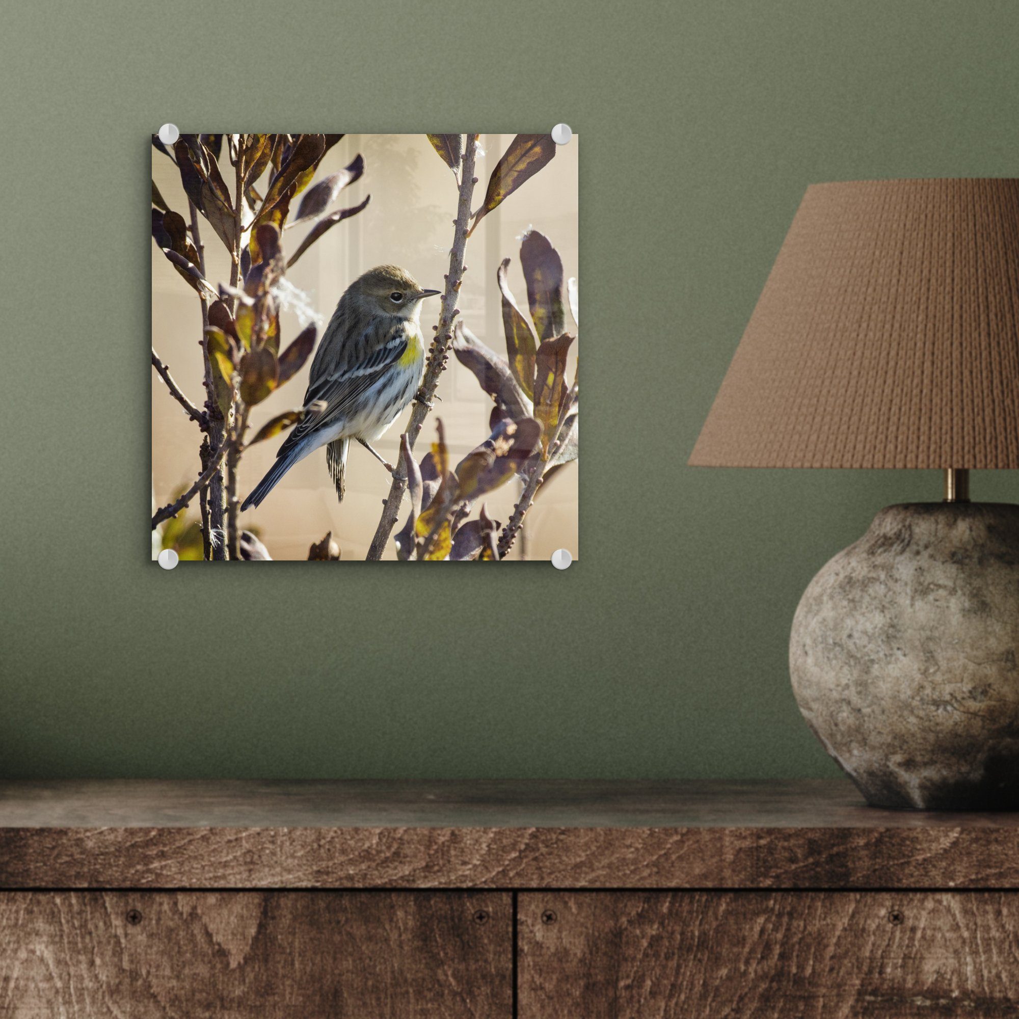 Acrylglasbild (1 Vogel Bilder einem - mit auf Blättern, St), zwischen Glas - Glasbilder Glas Foto - Wandbild MuchoWow Zweig Wanddekoration auf