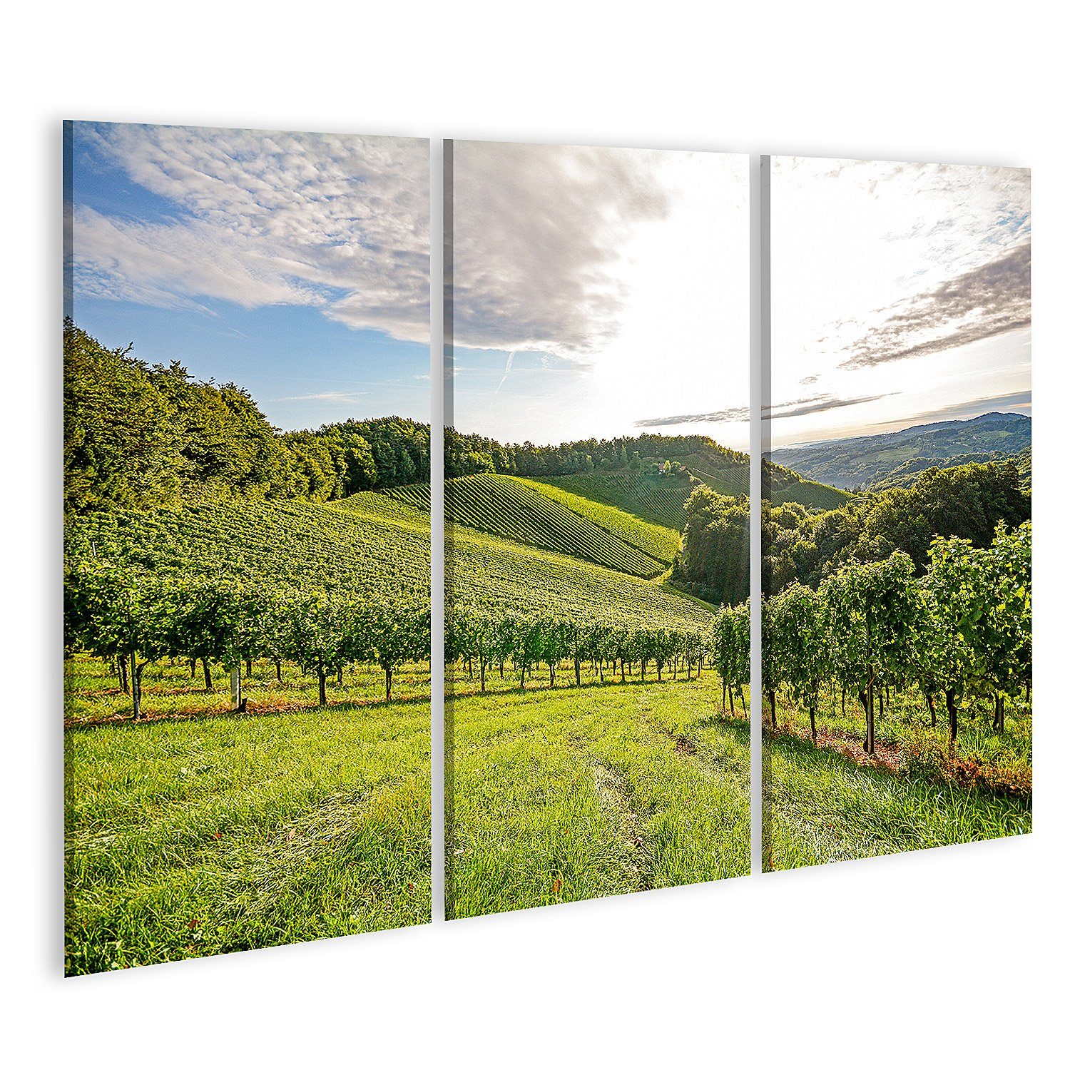 Leinwandbild Bild auf Leinwand Reben Weinberg Herbst Weintrauben Ernte Europa Wandb