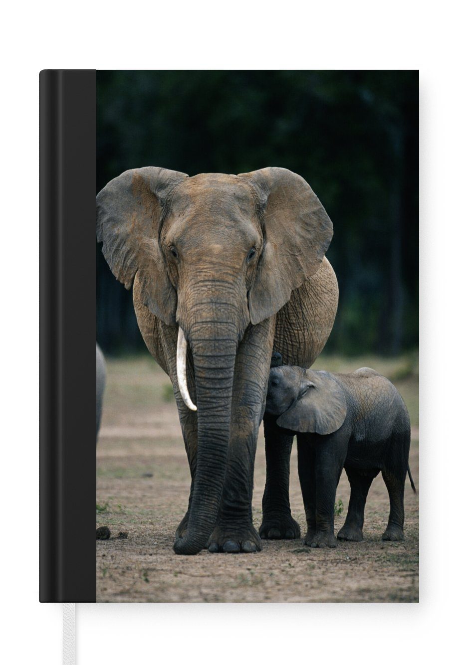 MuchoWow Notizbuch Elefant - Tiere - Flachland - Natur, Journal, Merkzettel, Tagebuch, Notizheft, A5, 98 Seiten, Haushaltsbuch