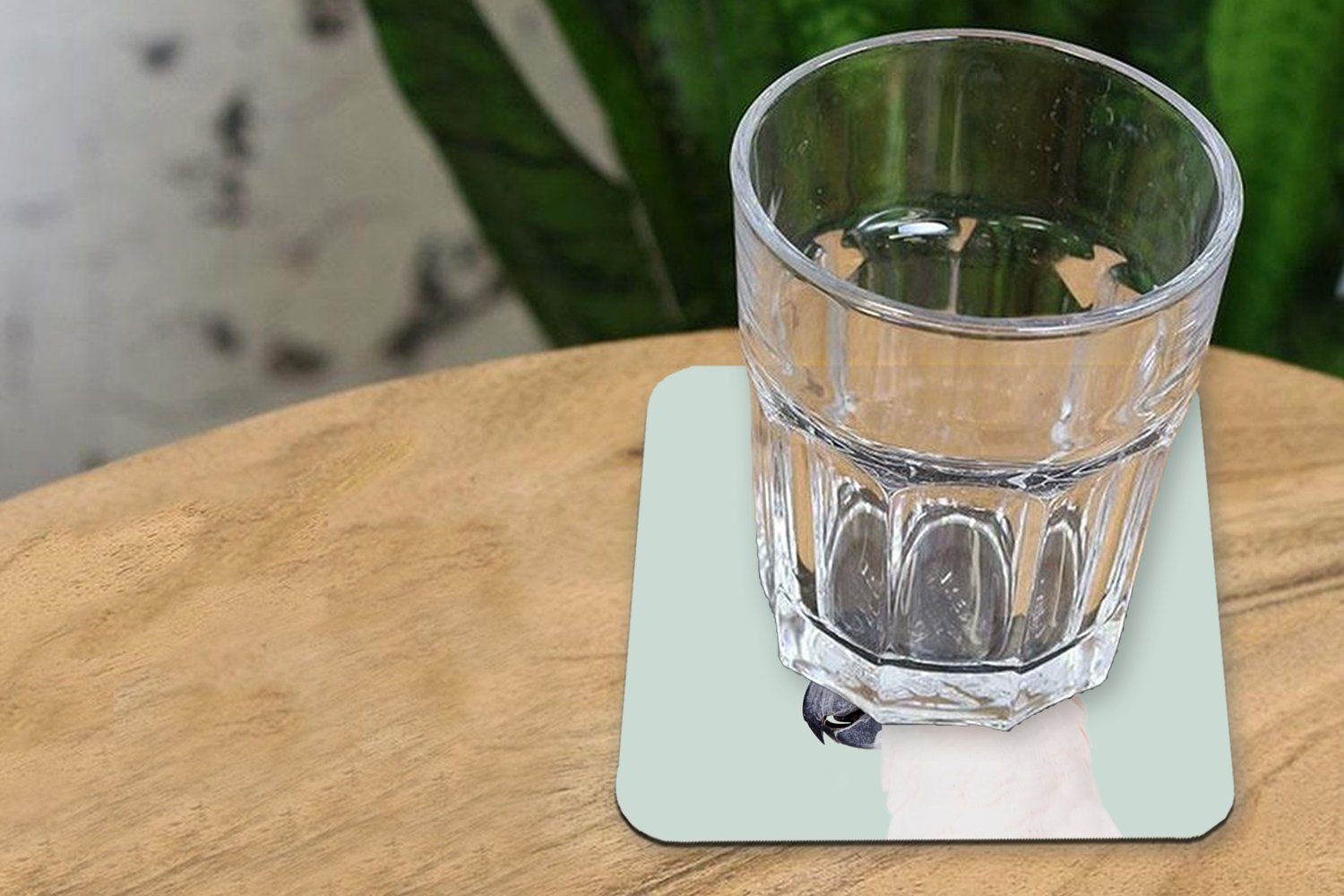 MuchoWow Glasuntersetzer Kakadu - Tasse für Zubehör Natur Weiß, 6-tlg., Korkuntersetzer, Glasuntersetzer, Tiere Gläser, Untersetzer, - - Tischuntersetzer