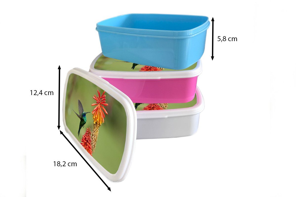 Mädchen, Lunchbox MuchoWow für Vogel Kinder, Brotbox Kunststoff Kolibri - Kunststoff, Blumen, Brotdose rosa (2-tlg), Snackbox, - Erwachsene,