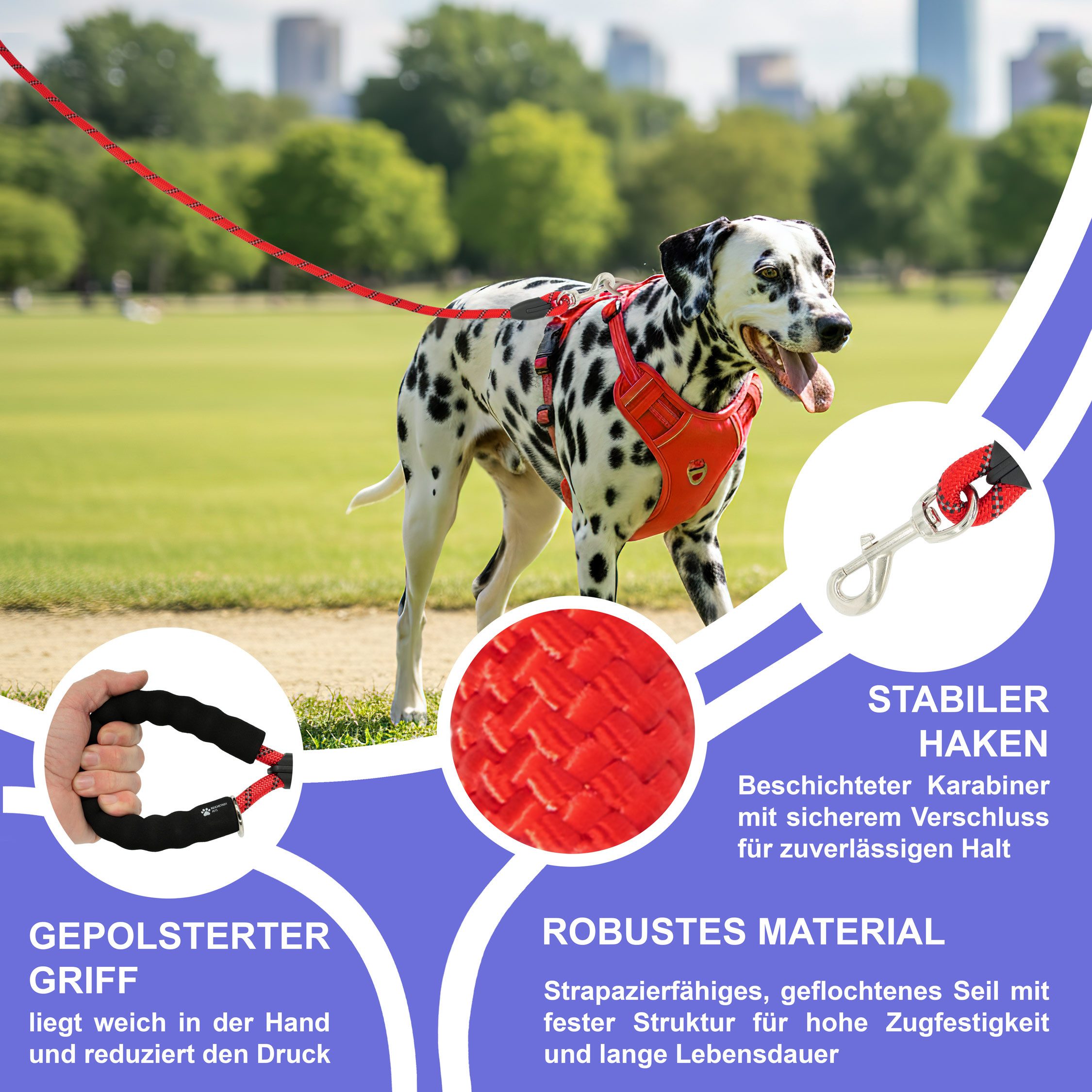 Reichstadt Hundeleine RS Pets Führleine Nylon 25RSP084, Nylon, Ergonomischer EVA-gepolsterter Griff für Blasenschutz