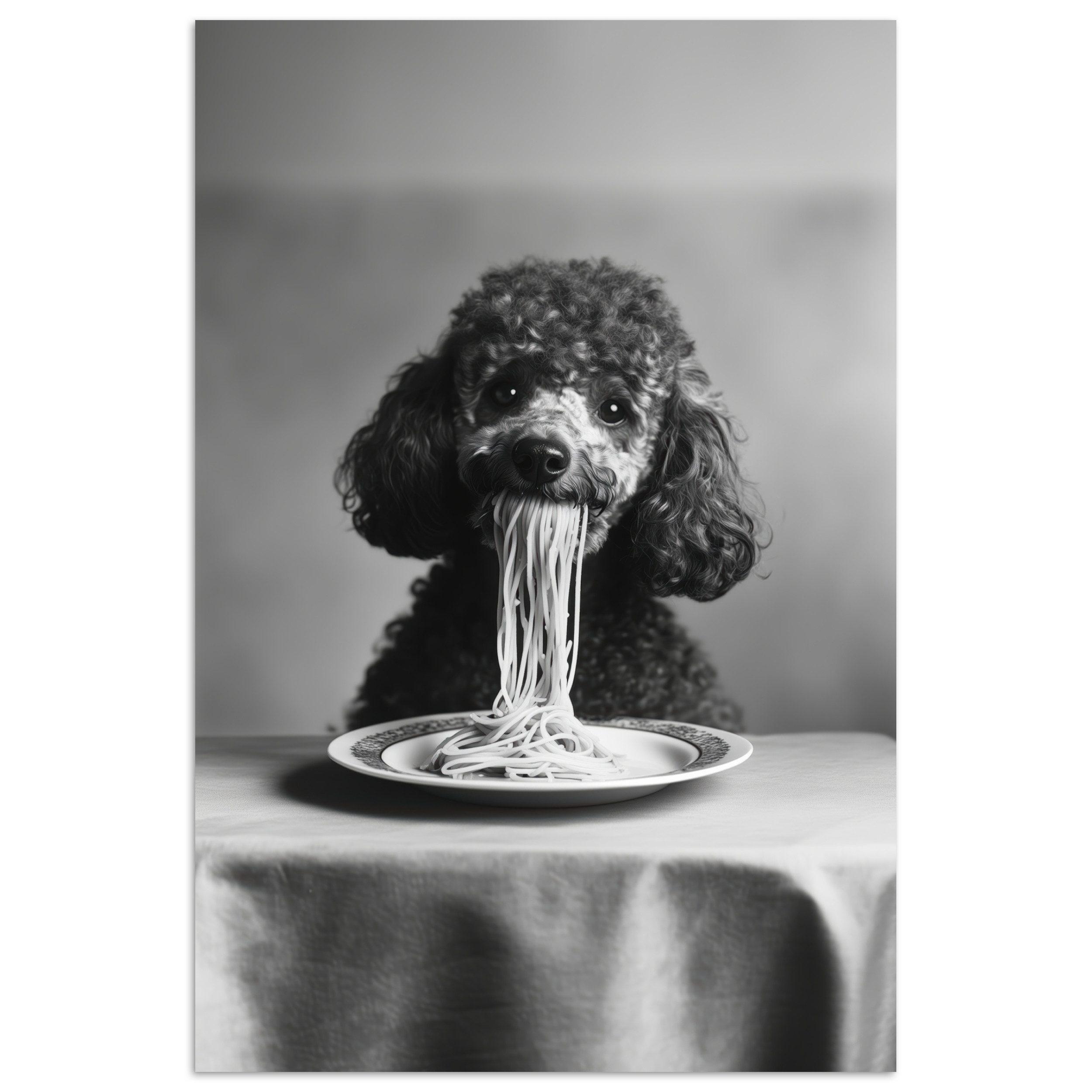 MuchoWow Poster Pudel - Hund - günstig online kaufen