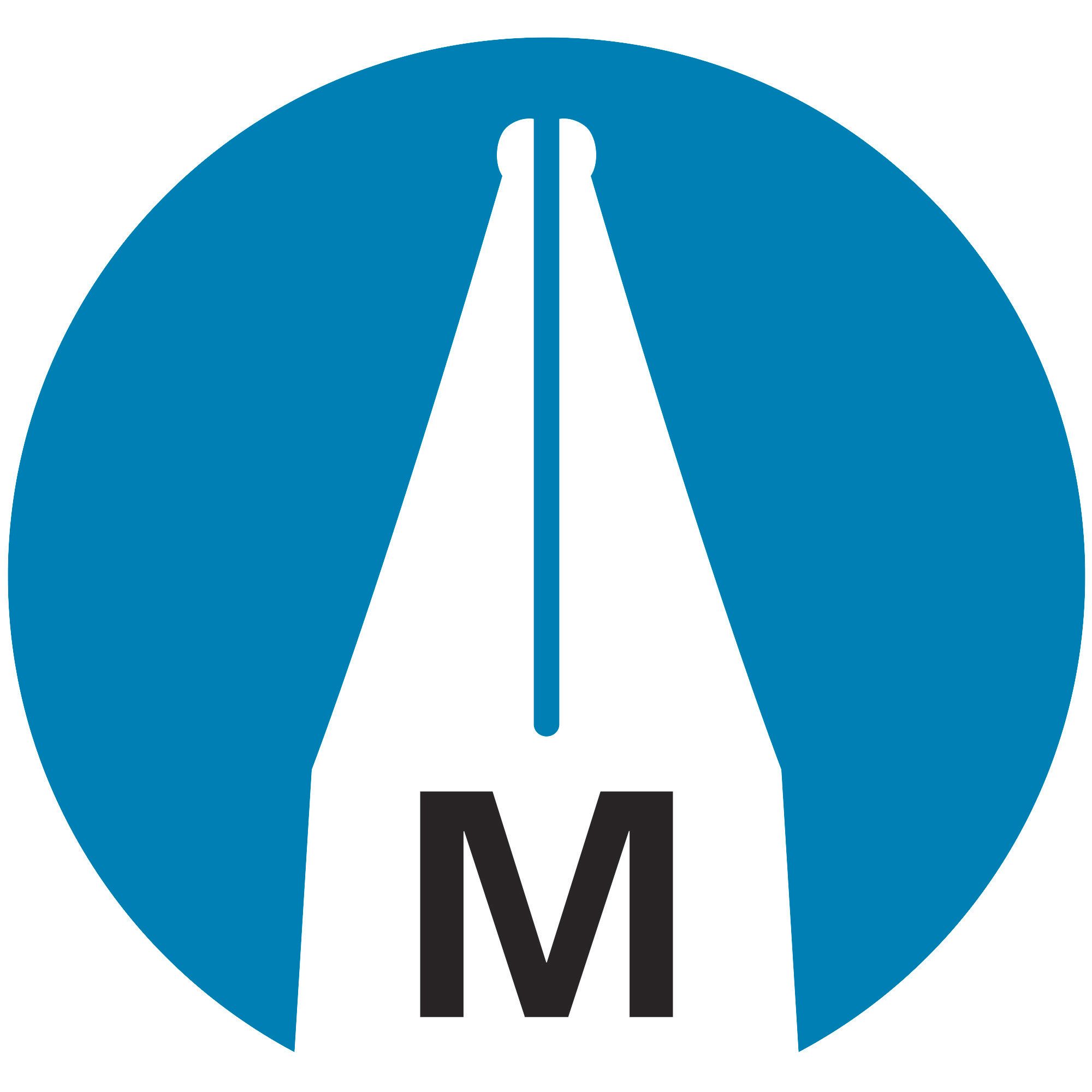 STABILO Füller EASYbuddy ergonomischer Schulfüller - Feder M - Rechtshänder - schwarz