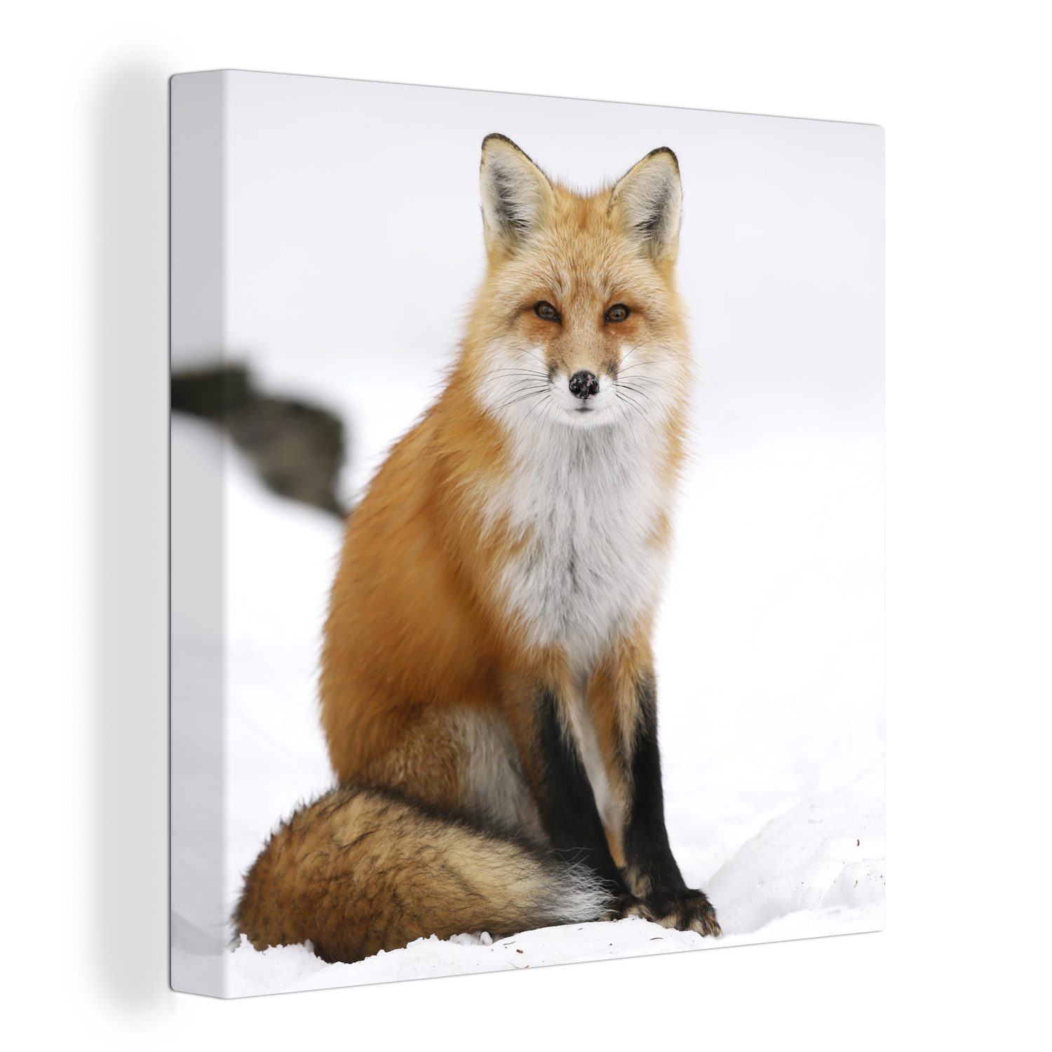 Winter, Fuchs Schlafzimmer für Leinwandbild OneMillionCanvasses® - Wohnzimmer Bilder Schnee St), bunt Leinwand (1 -