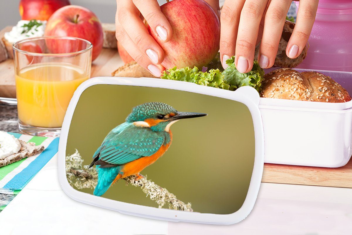 MuchoWow Lunchbox Eisvogel - Kinder (2-tlg), Brotbox Erwachsene, Jungs Mädchen weiß Brotdose, für und - Kunststoff, für Vogel, Tiere und