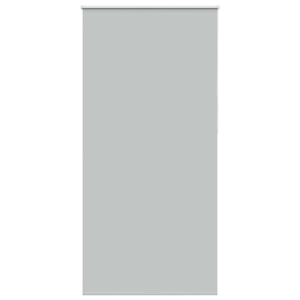 Rollo Verdunkelungsrollo Hellgrau 95x210 cm Stoffbreite günstig online kaufen