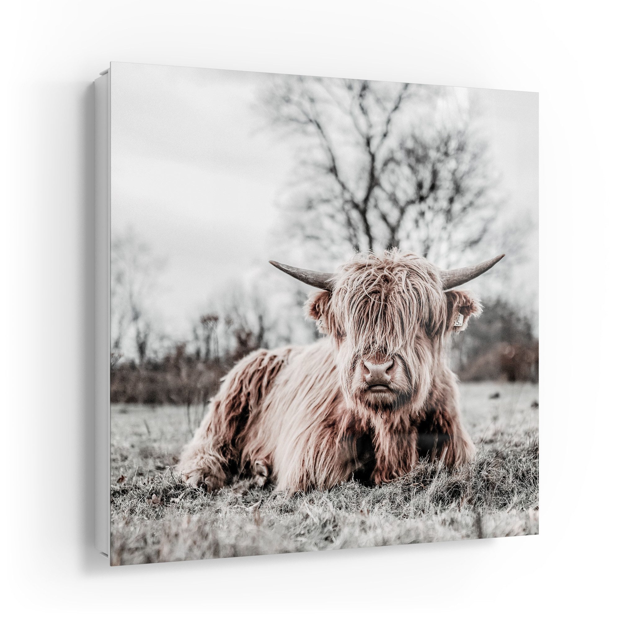 DEQORI Schlüsselkasten 'Ruhendes Hochland', Glas Schlüsselbox modern magnetisch beschreibbar