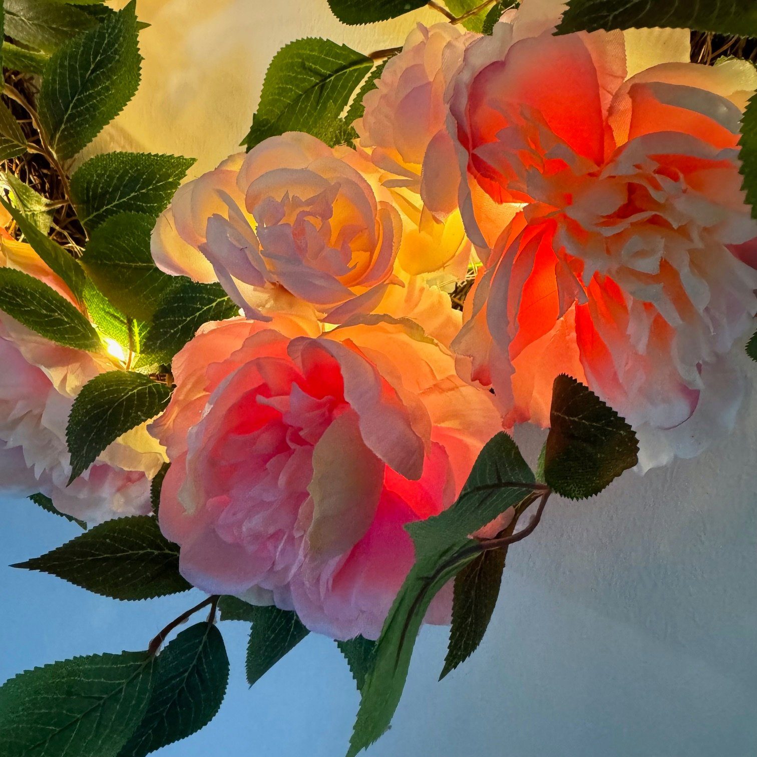 Online-Fuchs Dekokranz Türkranz Frühling mit rosa Rosen zum Hängen, mit LED  Lichterkette, beleuchtet, inkl. Timerfunktion
