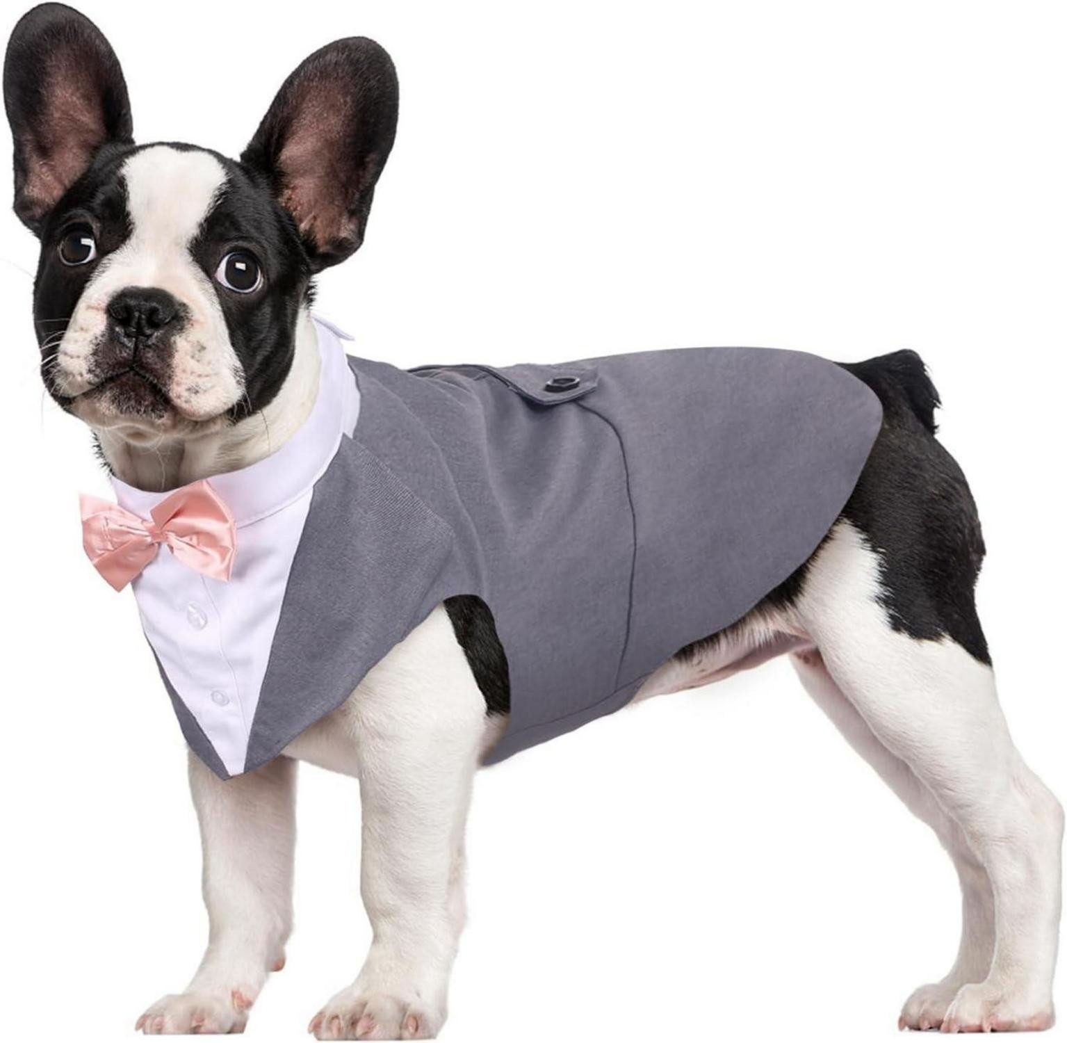 Hundefliege Hunde Smoking Anzug Bandana Set Haustier Hochzeit Halloween S-XXL Grau
