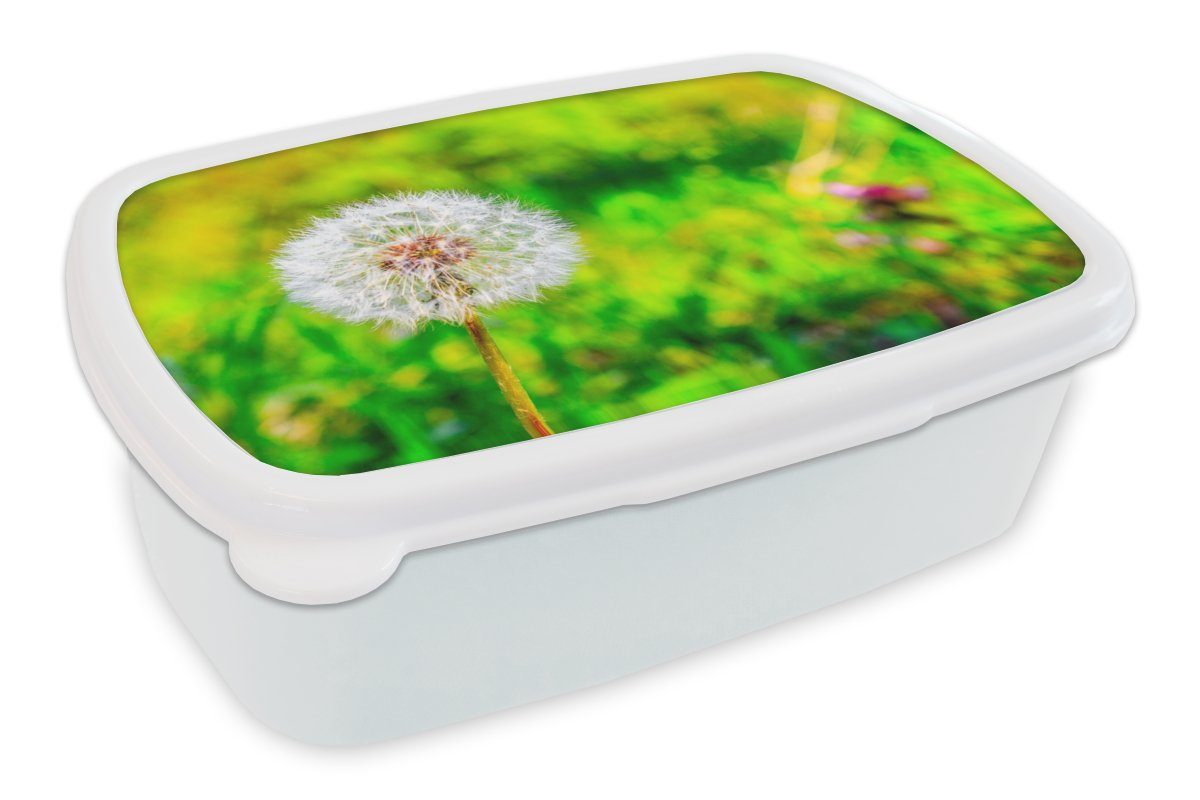 MuchoWow Lunchbox Löwenzahn - Gras - Blume, Kunststoff, (2-tlg), Brotbox für Kinder und Erwachsene, Brotdose, für Jungs und Mädchen weiß