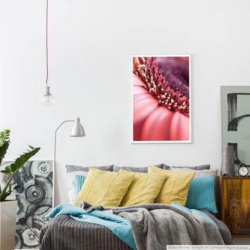 Sinus Art Poster Naturfotografie 60x90cm Poster Große rote Gerbera