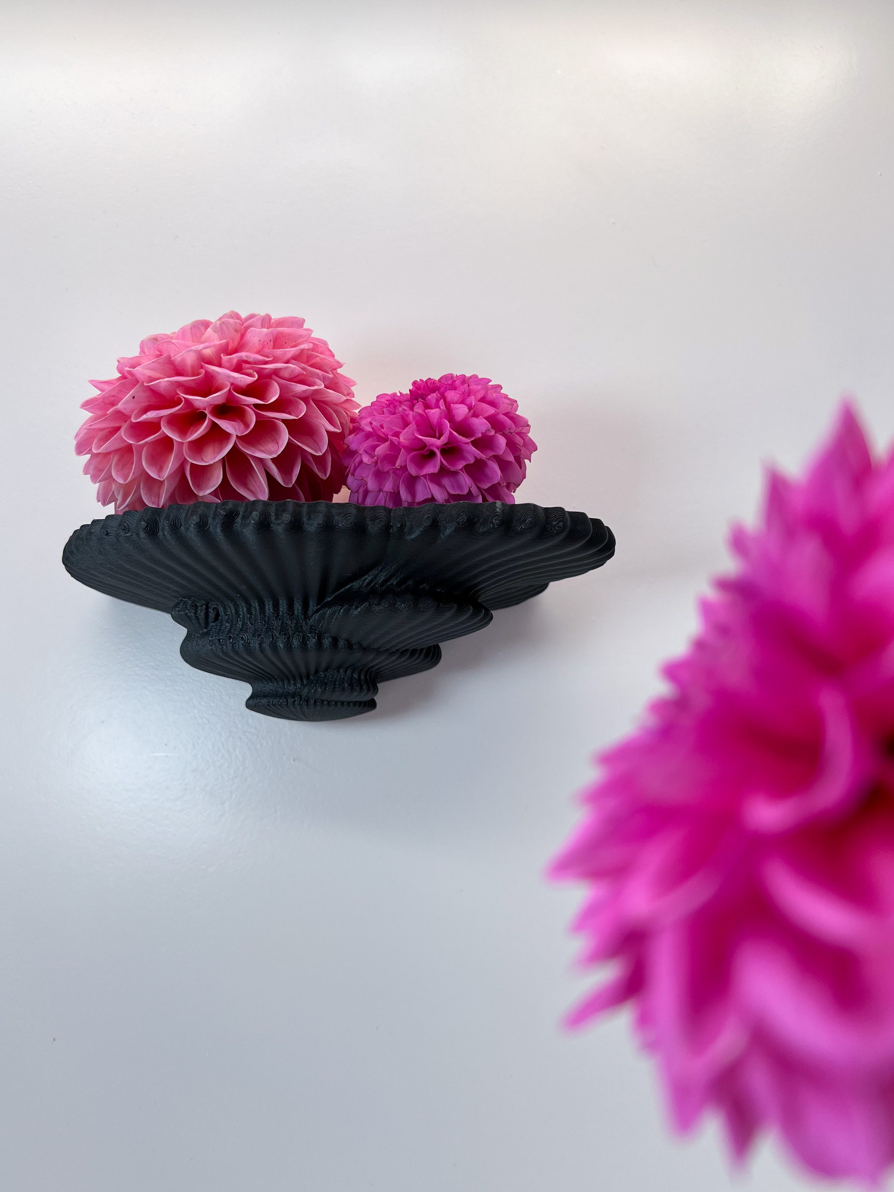 Roomberry Deko-Wandregal Schwebendes Beerenpilz Wandregal – günstig online kaufen