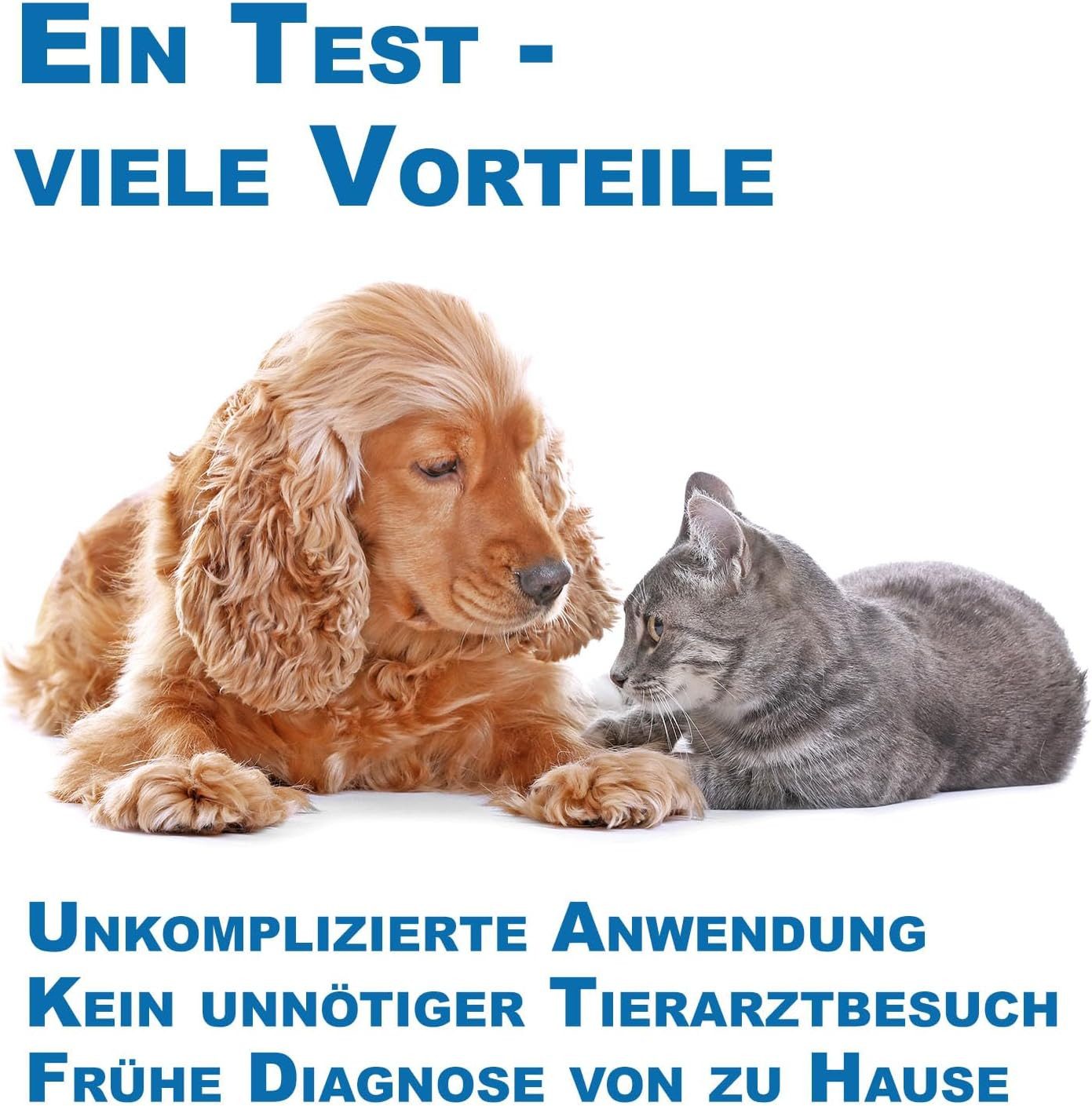 Cera-Pet Darmparasiten-Test Giardien Schnelltest für Hund und Katze, 1-tlg.