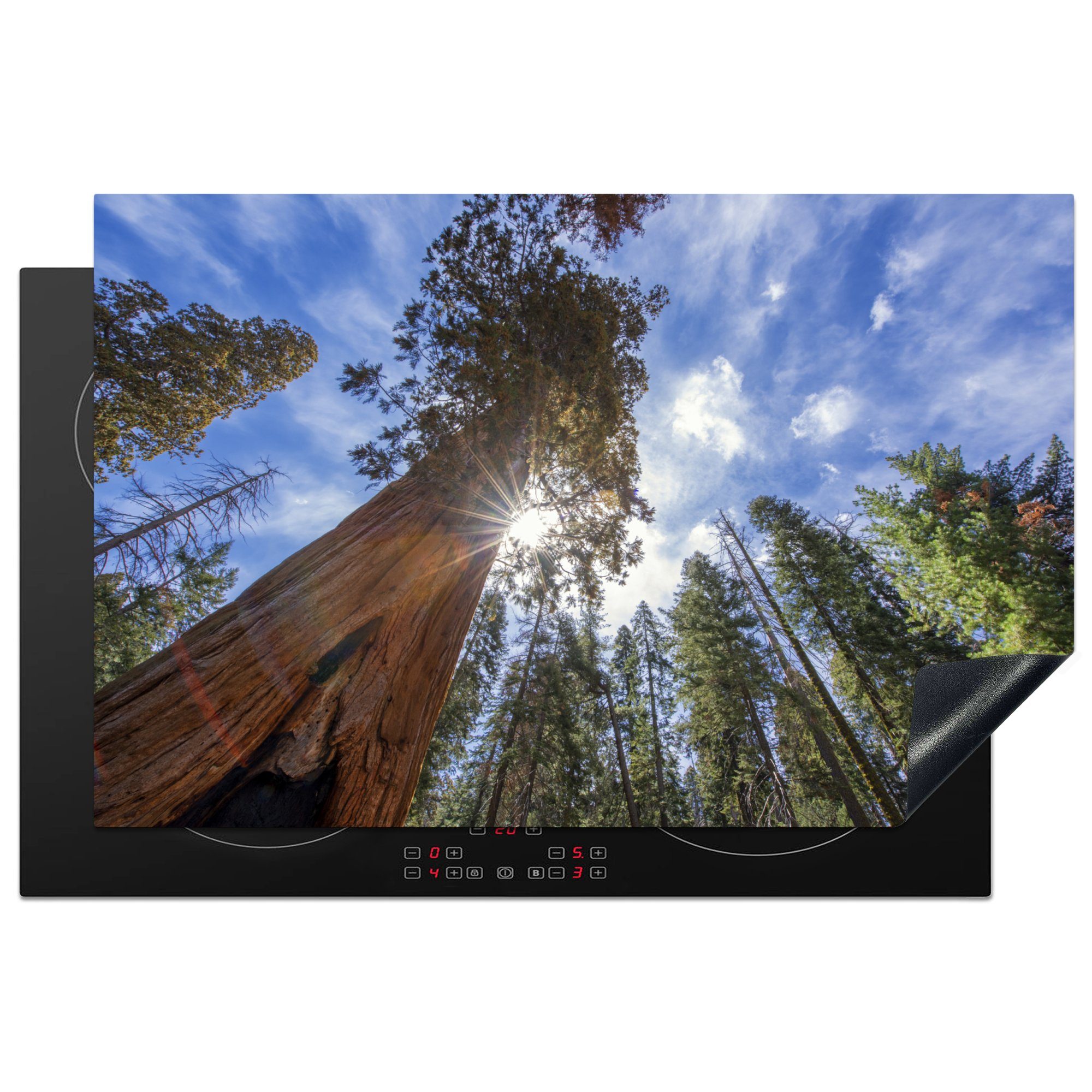tlg), Nordamerika, für Vinyl, 81x52 die Schutz Sequoia-Nationalpark küche, MuchoWow in Induktionskochfeld Bäume cm, Herdblende-/Abdeckplatte im Ceranfeldabdeckung (1