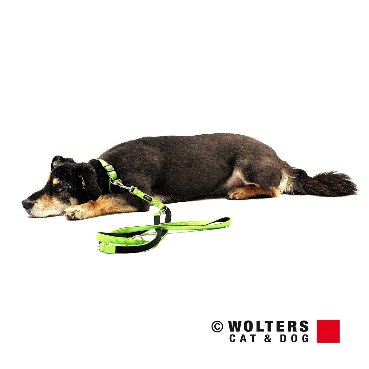 Wolters Hundeleine Führleine Professional Comfort kiwi/schwarz
