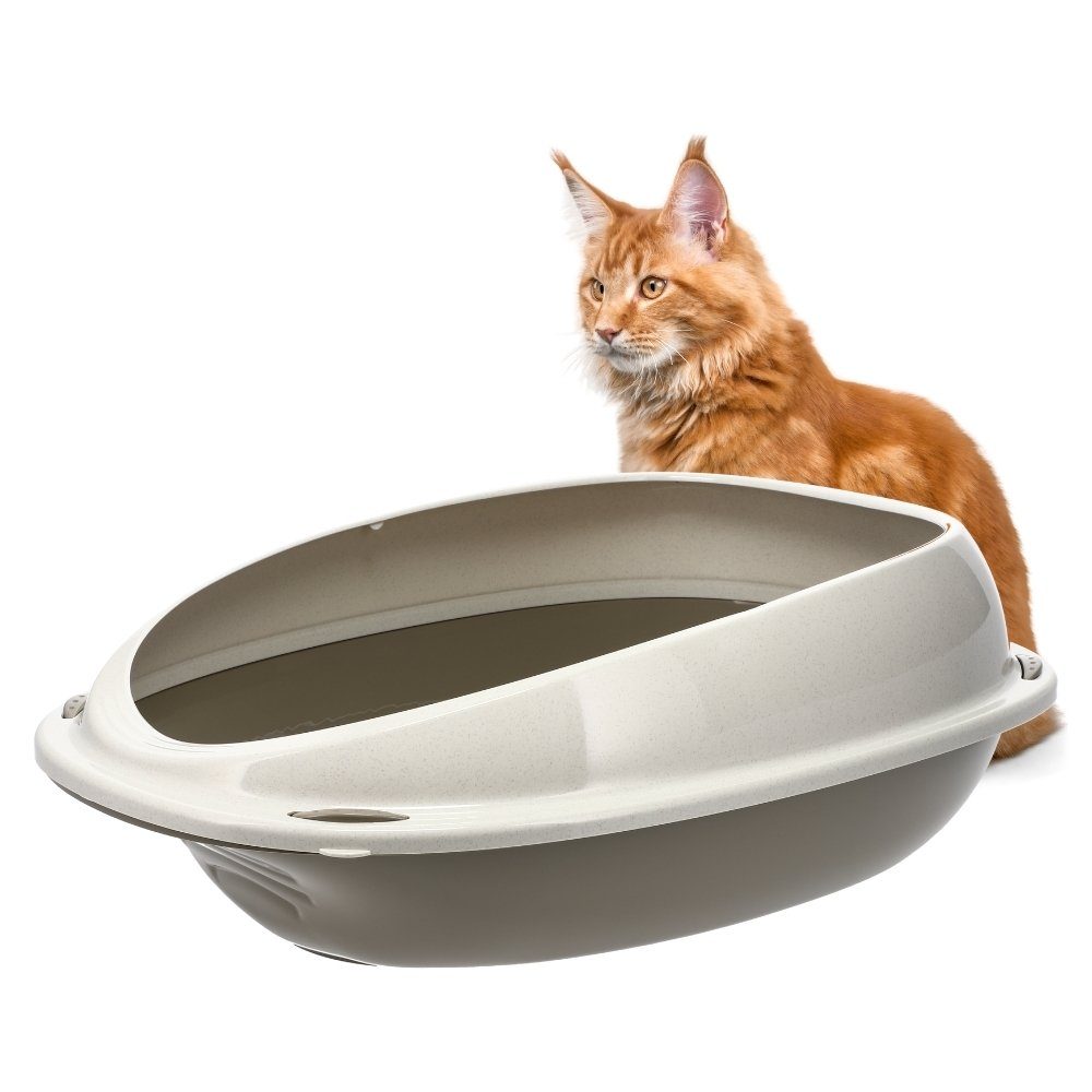 Katzentoilette GarPet Katzenklo ohne Deckel Katzentoilette mit Rand Katzen WC