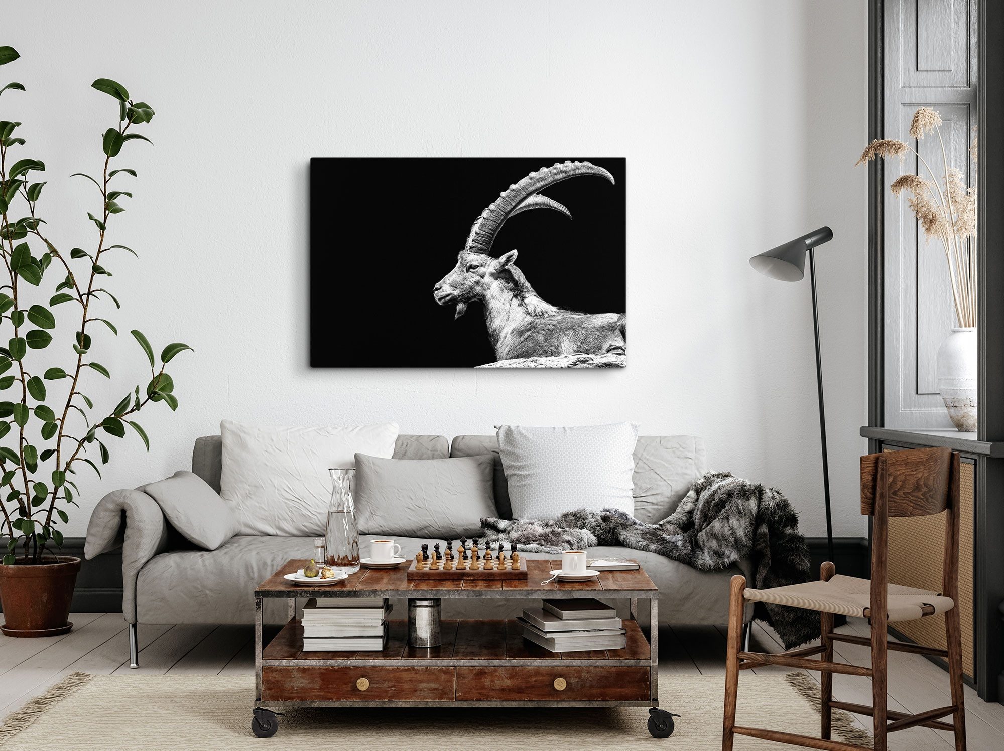 Sinus Art Leinwandbild 120x80cm Wandbild auf Leinwand Steinbock Tierfotografie schwarzer Hint, (1 St) – Bild 3 von 5