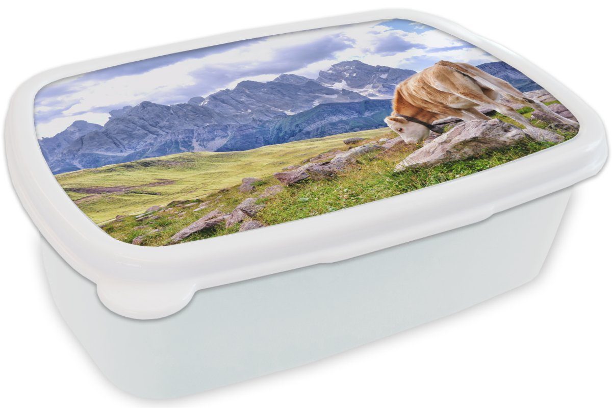 - Erwachsene, Mädchen weiß - und MuchoWow Berg, Alpen für für Brotbox Brotdose, Lunchbox Kunststoff, Jungs Kuh und Kinder (2-tlg),
