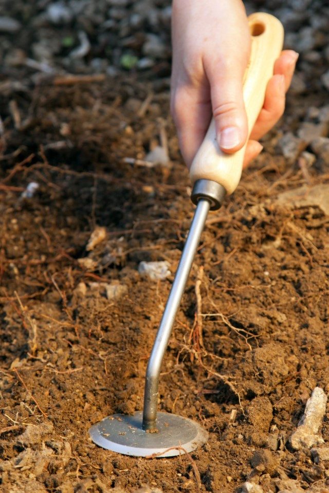 Krumpholz Gartenpflege-Set Krumpholz Gartendisk (Unkrautmesser) mit Eschengriff