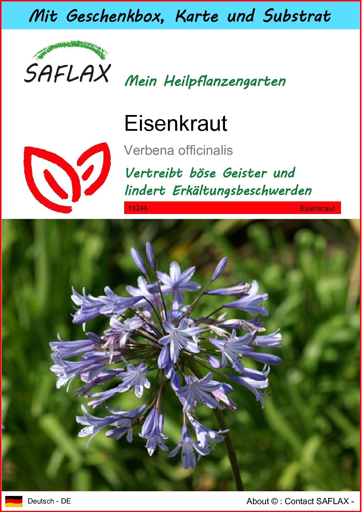 SAFLAX Blumensamen SAFLAX - Geschenkset - günstig online kaufen