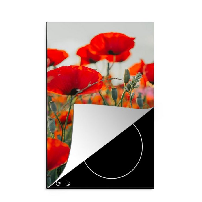 MuchoWow Herdblende-/Abdeckplatte Mohn - Blumen - Rot - Lila - Wiese Vinyl (1 tlg) Küchen Dekoration für Induktionsherd Induktionskochfeld