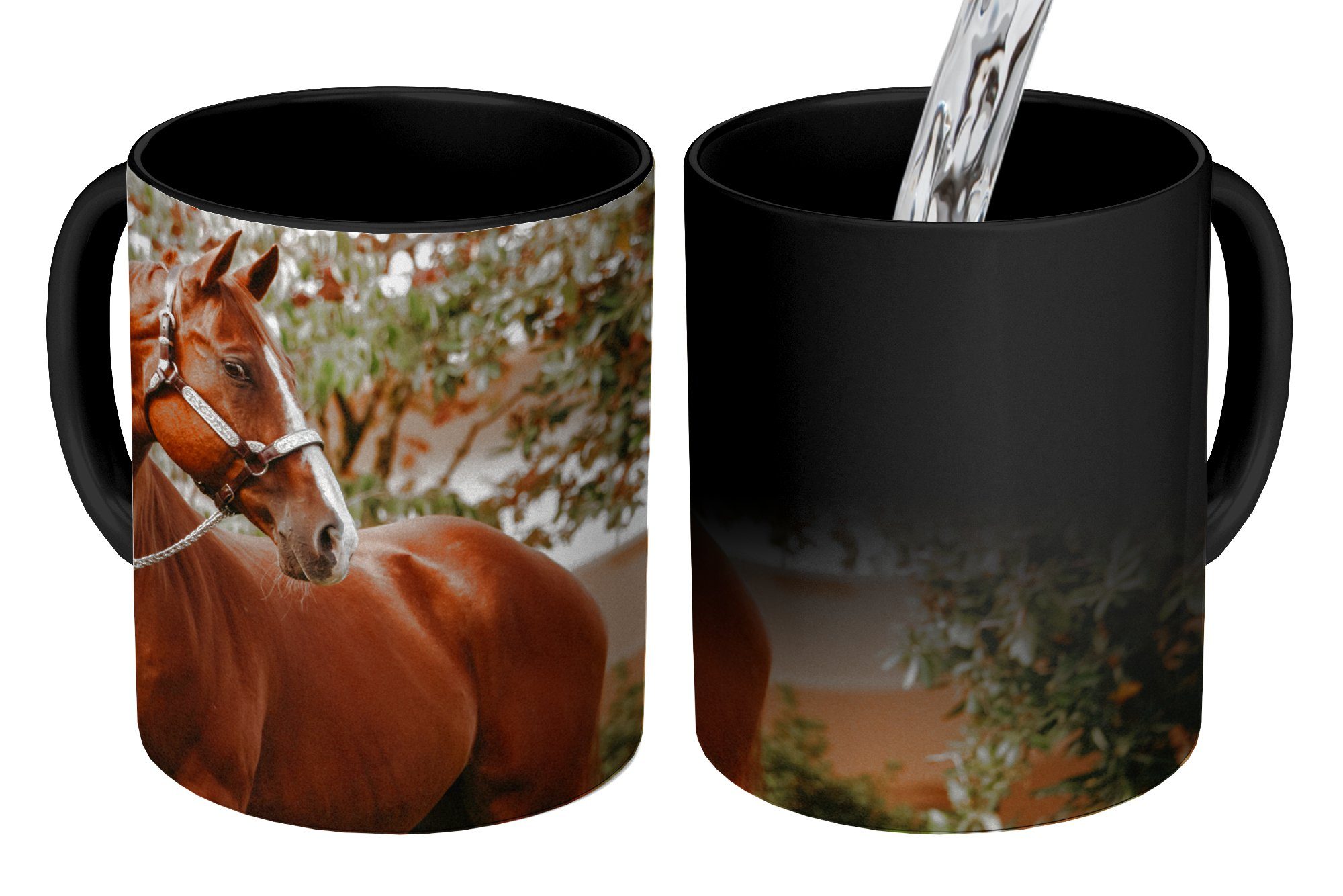 Zaubertasse, MuchoWow Tasse Baum Pferd Halfter, - Keramik, Teetasse, Geschenk - Farbwechsel, Kaffeetassen,