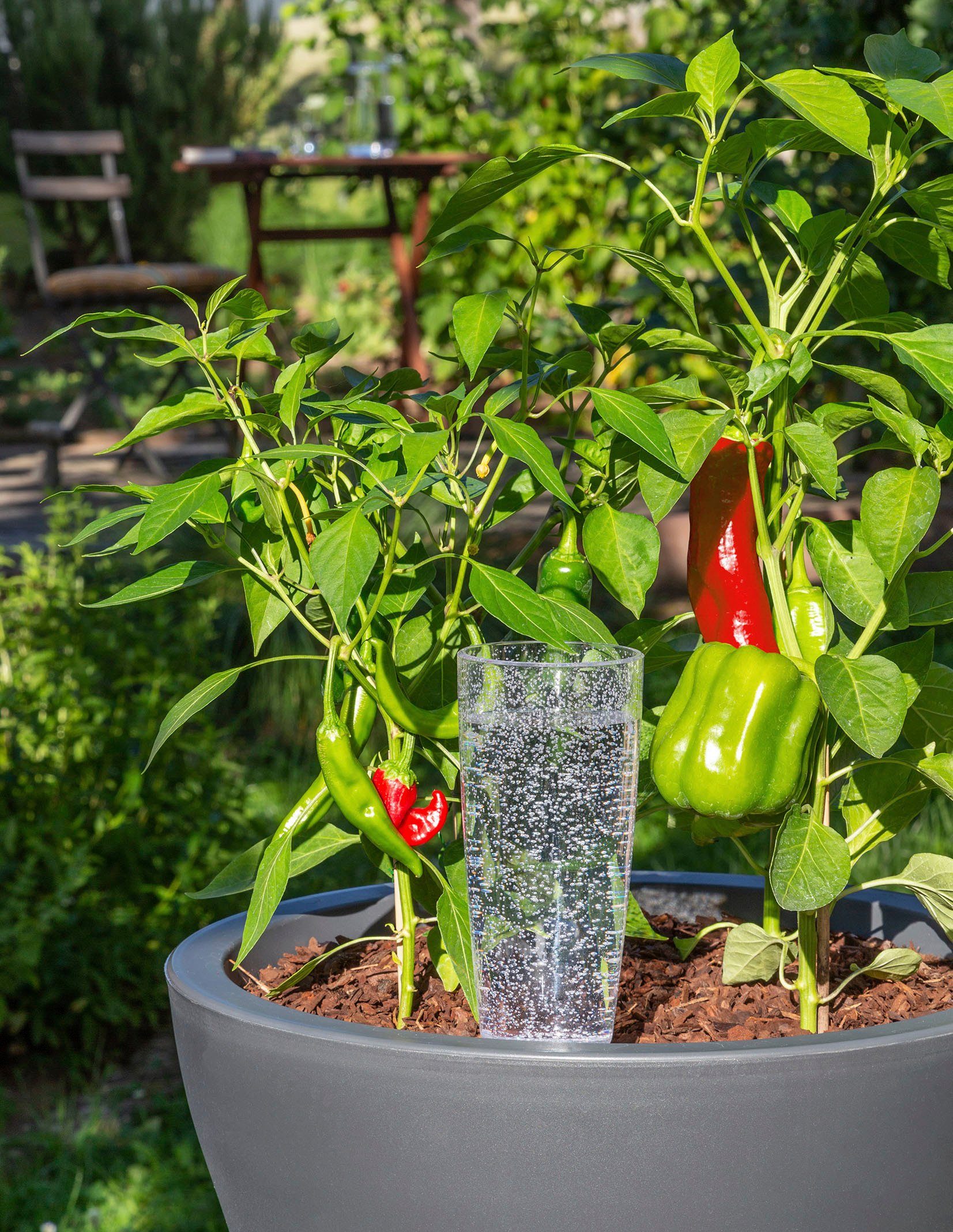 Scheurich Tropfer 32/112 COPA XXL