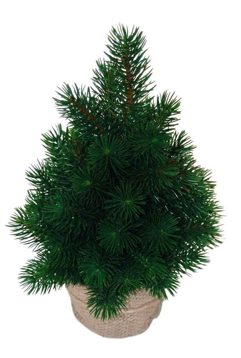 sesua Künstlicher Weihnachtsbaum Weihnachtsbaum Tannenbaum Christbaum sehr echt wirkend