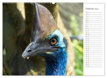CALVENDO Wandkalender Die einzigartige Tierwelt von Australien (Premium, hochwertiger DIN A2 Wandkalender 2023, Kunstdruck in Hochglanz)