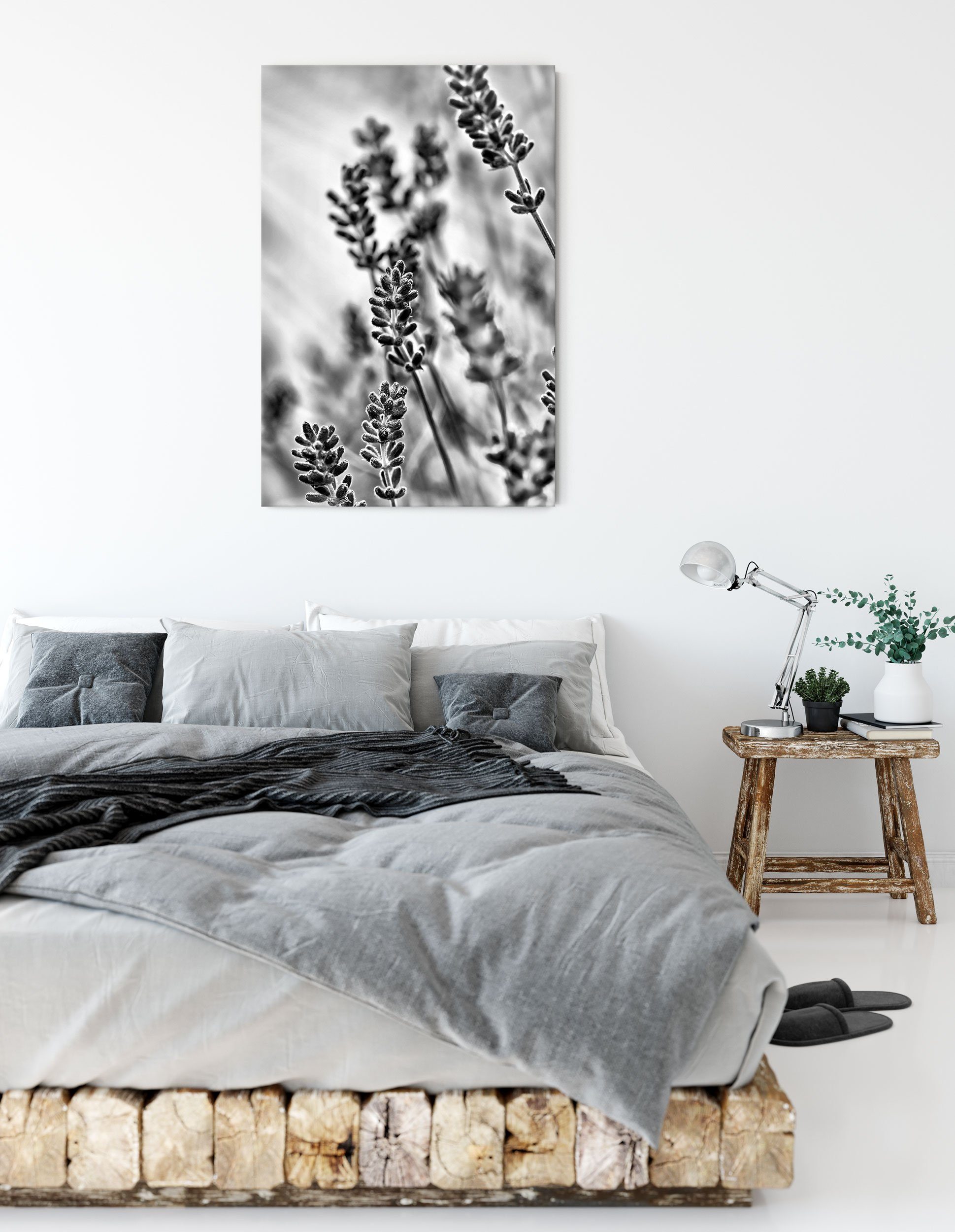 Pixxprint Leinwandbild Lavendel, Lavendel (1 St), Leinwandbild fertig bespannt, inkl. Zackenaufhänger