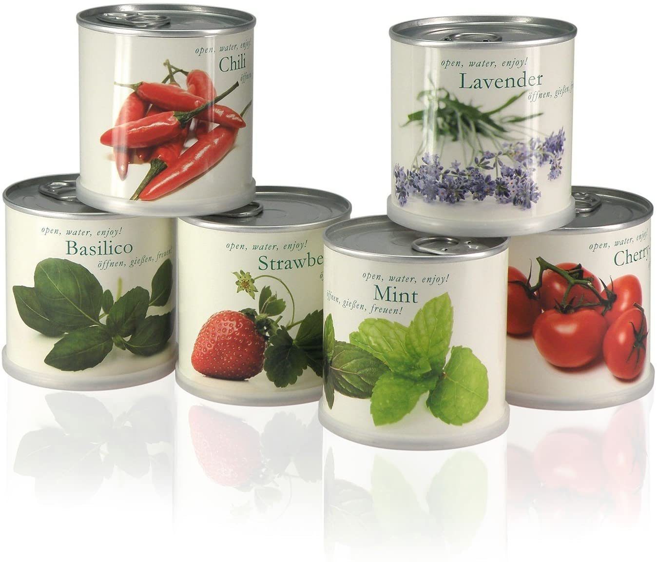 MacFlowers® Anzuchttopf Lavendel - Blumen in günstig online kaufen
