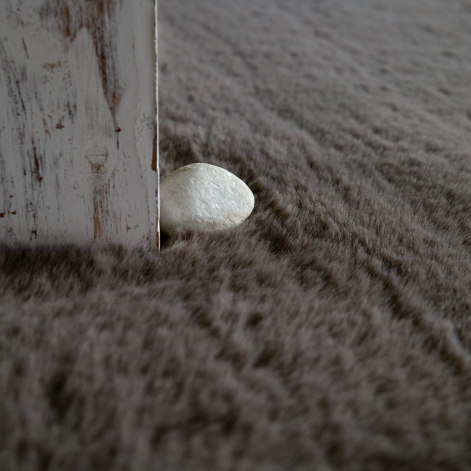 TT Home Teppich, Rechteckig, Höhe: 26 mm, Hochflor Teppich Schlafzimmer Kun günstig online kaufen