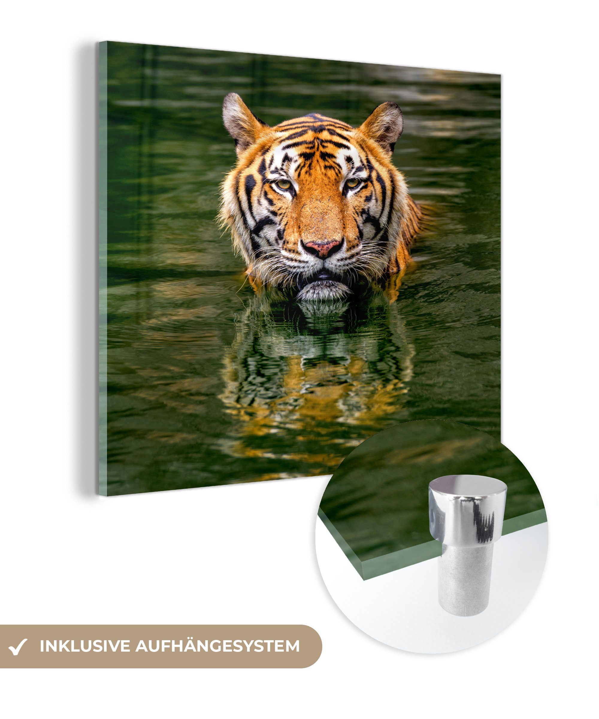 Foto auf im (1 - - Wandbild St), Glas - MuchoWow Tiger Wanddekoration Acrylglasbild Glas Bilder Wasser, Glasbilder auf