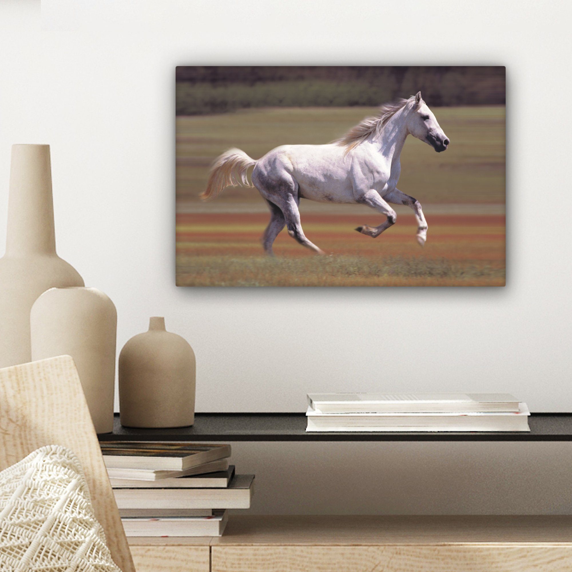 Licht Wanddeko, OneMillionCanvasses® - bunt St), Leinwandbild Pferd (1 30x20 Gras, - Aufhängefertig, Leinwandbilder, Wandbild cm