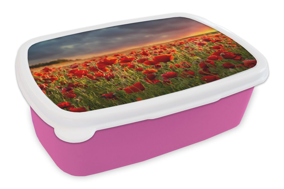 MuchoWow Lunchbox Sonnenuntergang über einem Feld von Mohnblumen, Kunststoff, (2-tlg), Brotbox für Erwachsene, Brotdose Kinder, Snackbox, Mädchen, Kunststoff rosa