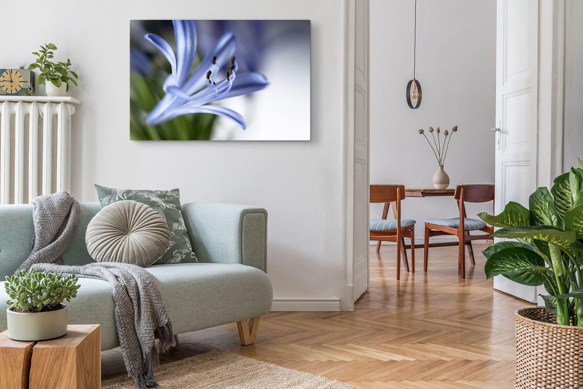 Sinus Art Leinwandbild 120x80cm Wandbild auf Leinwand Blume Blüte Nahaufnahme Blau Kunstvoll, (1 St)