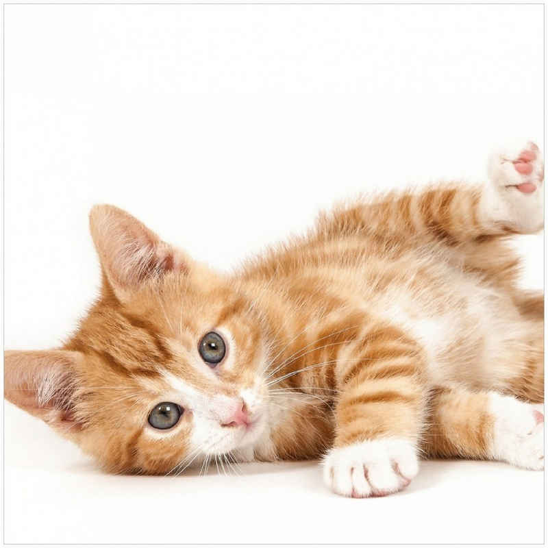 Wallario Memoboard Süße Katze mit großen Augen - rot weiß getigert