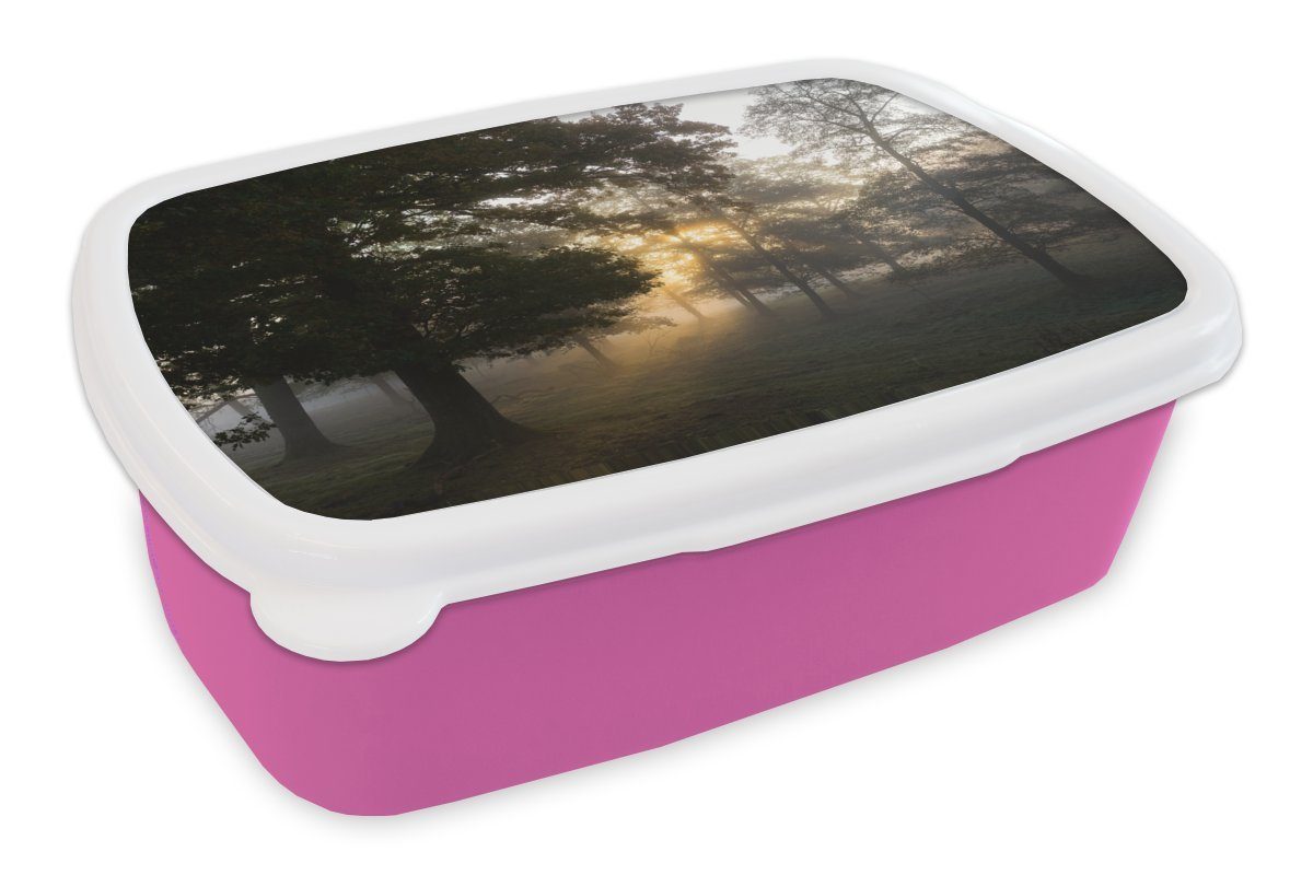 MuchoWow Lunchbox Sonnenaufgang im Söderåsen-Nationalpark in Schweden, Kunststoff, (2-tlg), Brotbox für Erwachsene, Brotdose Kinder, Snackbox, Mädchen, Kunststoff rosa