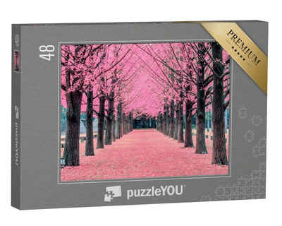 puzzleYOU Puzzle Allee aus rosa Blüten auf der Nami-Insel, Korea, 48 Puzzleteile, puzzleYOU-Kollektionen Landschaft