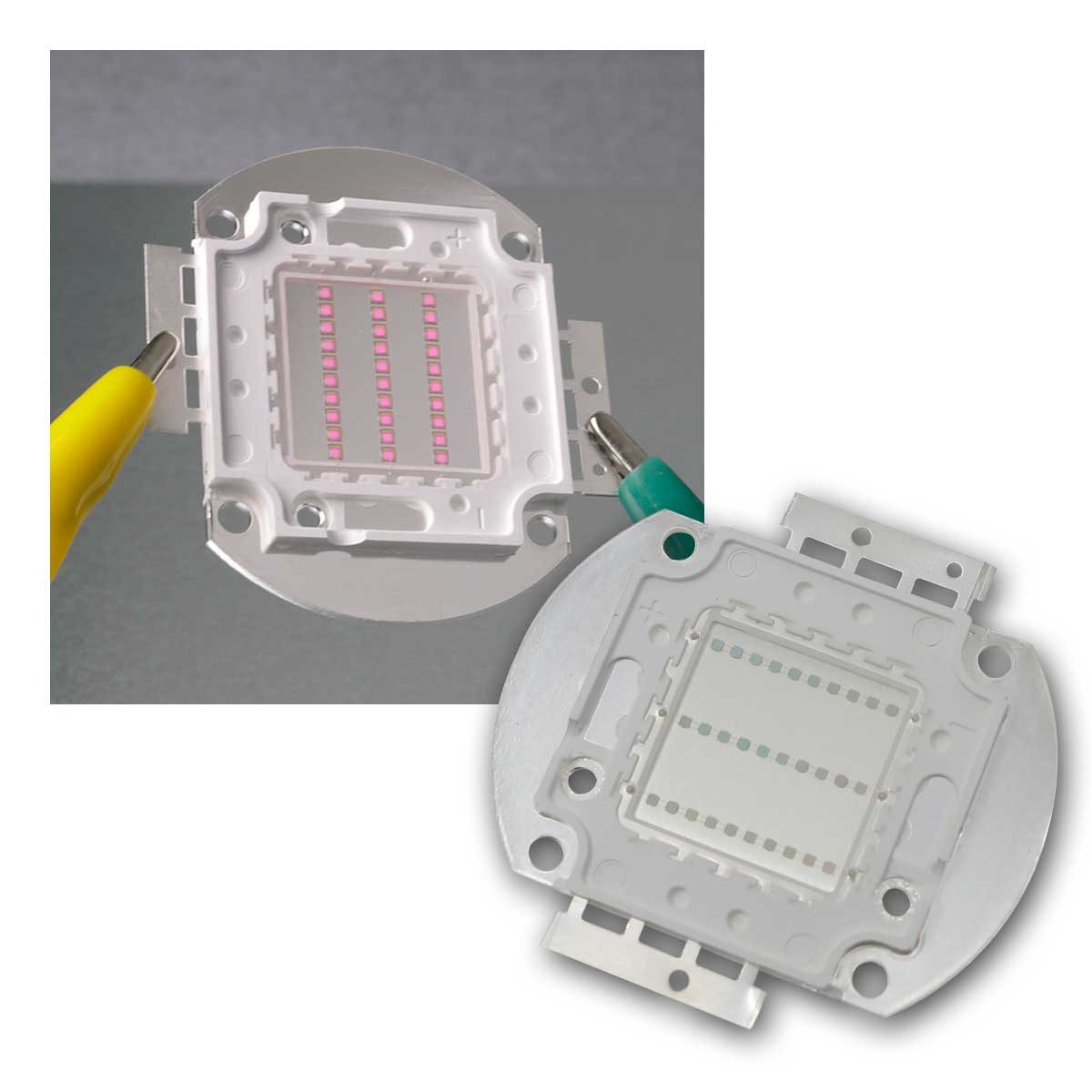 world-trading-net Modellbausatz Highpower LED 30W UV, Typ "WTN-30W-UV405" ultravio