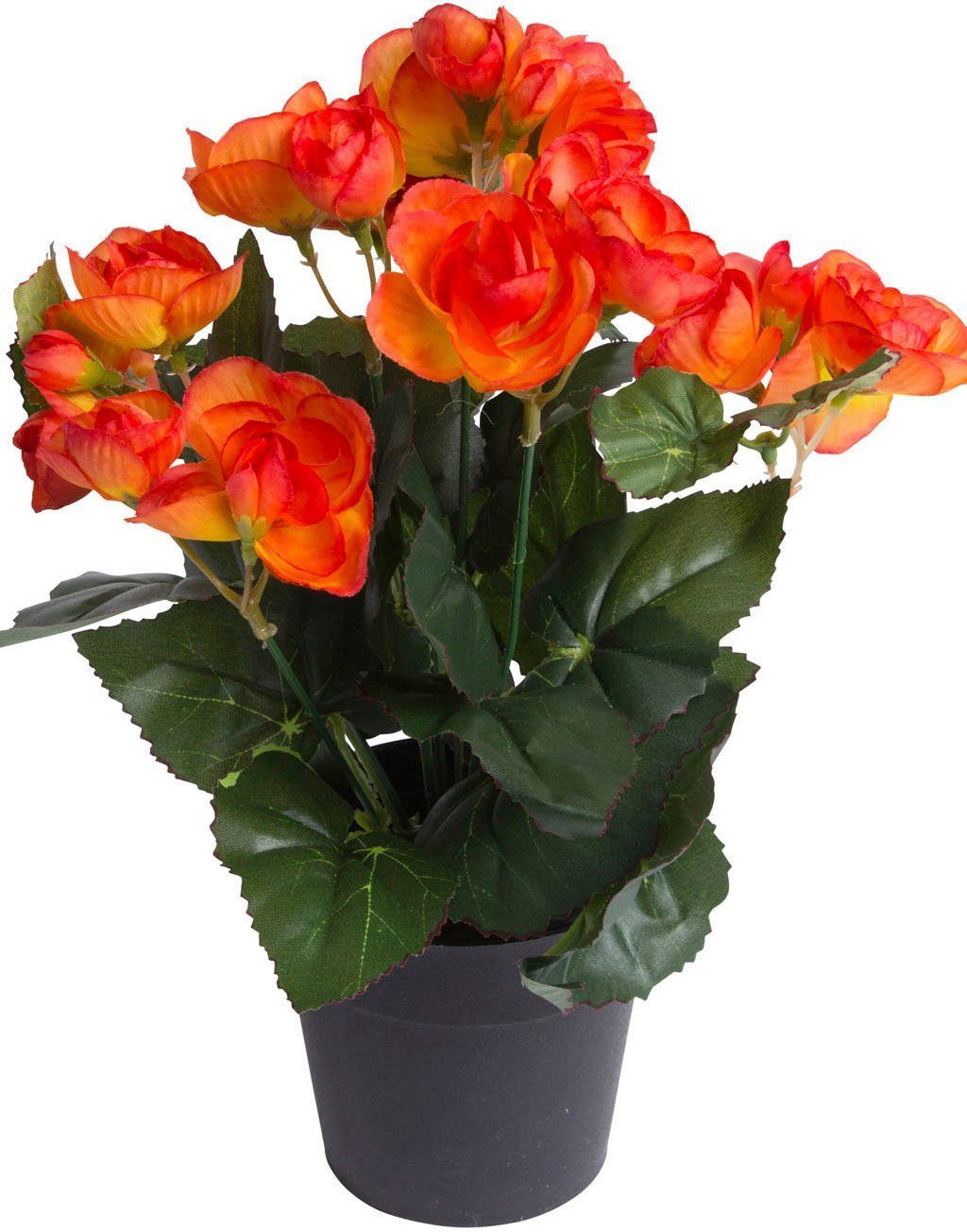 Kunstblume Begonienbusch mit 7 Stielen, Botanic-Haus, Höhe 26 cm
