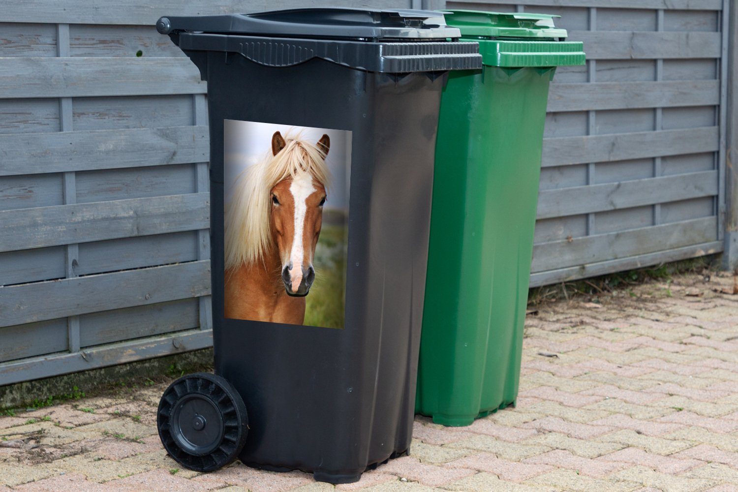 Container, Mülltonne, St), (1 Abfalbehälter Porträt eines Wandsticker Islandpferdes Sticker, Mülleimer-aufkleber, MuchoWow