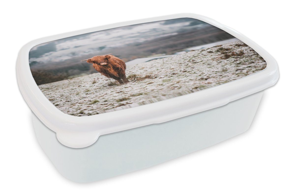 MuchoWow Lunchbox Schottischer Highlander - Schnee - Himmel, Kunststoff, (2-tlg), Brotbox für Kinder und Erwachsene, Brotdose, für Jungs und Mädchen weiß