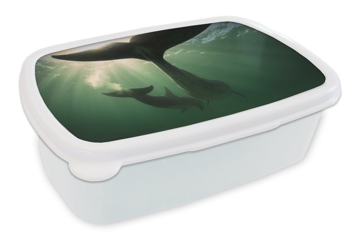 MuchoWow Lunchbox Delfin - Wasser - Blau, Kunststoff, (2-tlg), Brotbox für Kinder und Erwachsene, Brotdose, für Jungs und Mädchen weiß