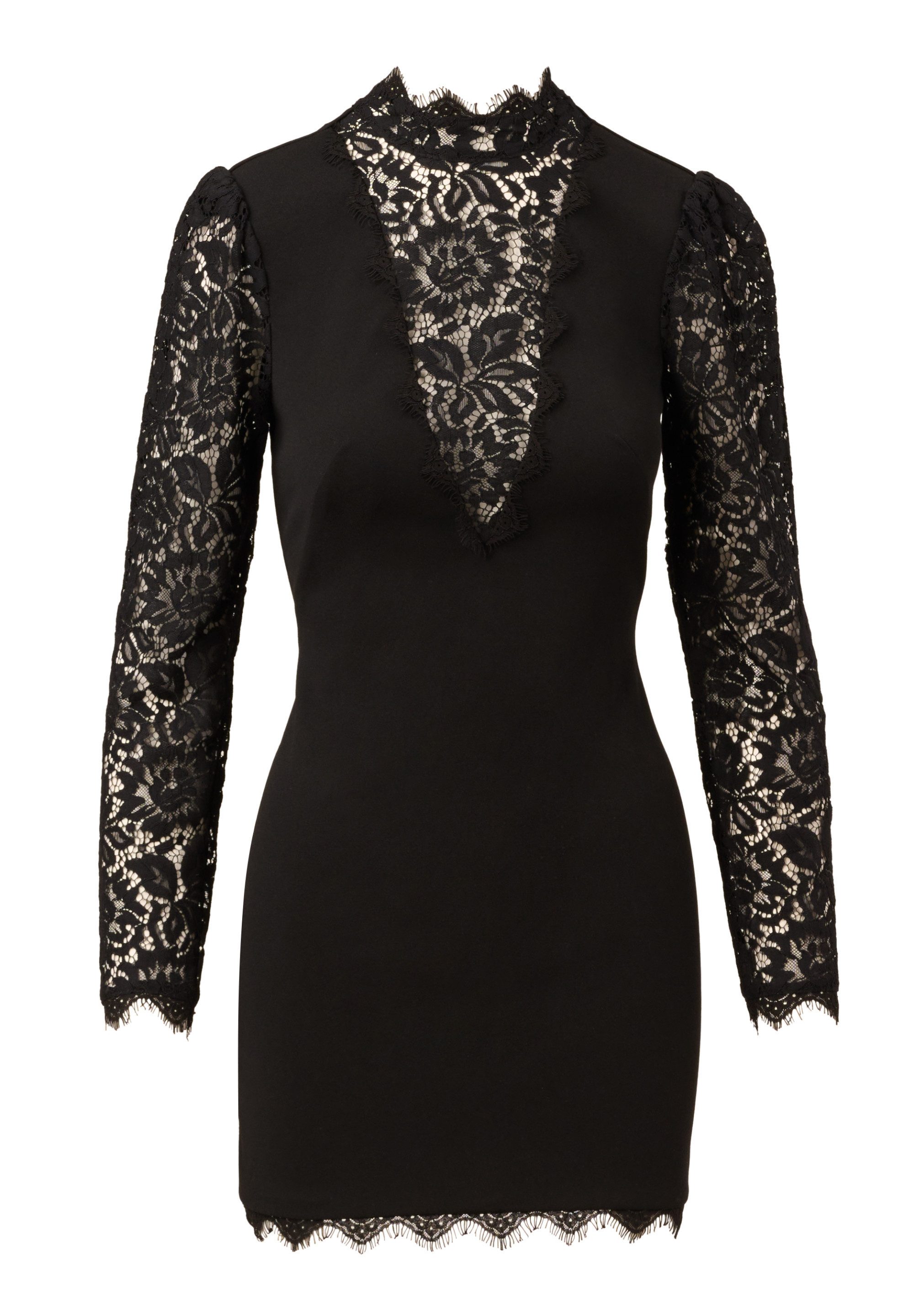 Adrianna Papell Abendkleid Lace and Crepe Short Dress Hoher Kragen, Spitze günstig online kaufen