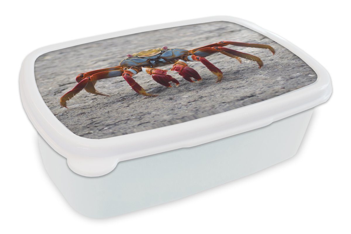 MuchoWow Lunchbox Strand - Tiere - Krabbe, Kunststoff, (2-tlg), Brotbox für Kinder und Erwachsene, Brotdose, für Jungs und Mädchen weiß