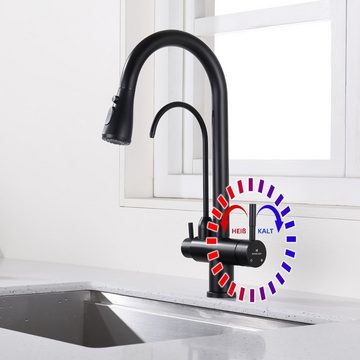 HOMELODY Küchenarmatur 3 Wege Wasserhahn Küche Trinkwasserhahn mit Ausziehbarer Brause 360°-Drehbar 3-in-1 Spültischarmatur Schwarz 2 Griffe